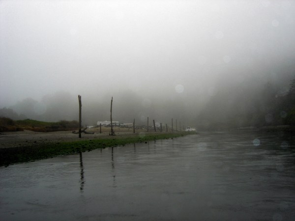 Where old docks once stood